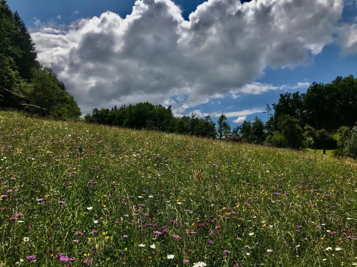 Gite Le Mazot De Vouan Saint-Andre-de-Boege Esterno foto